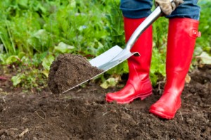 Digging With Red Boots in Vegetable Patch